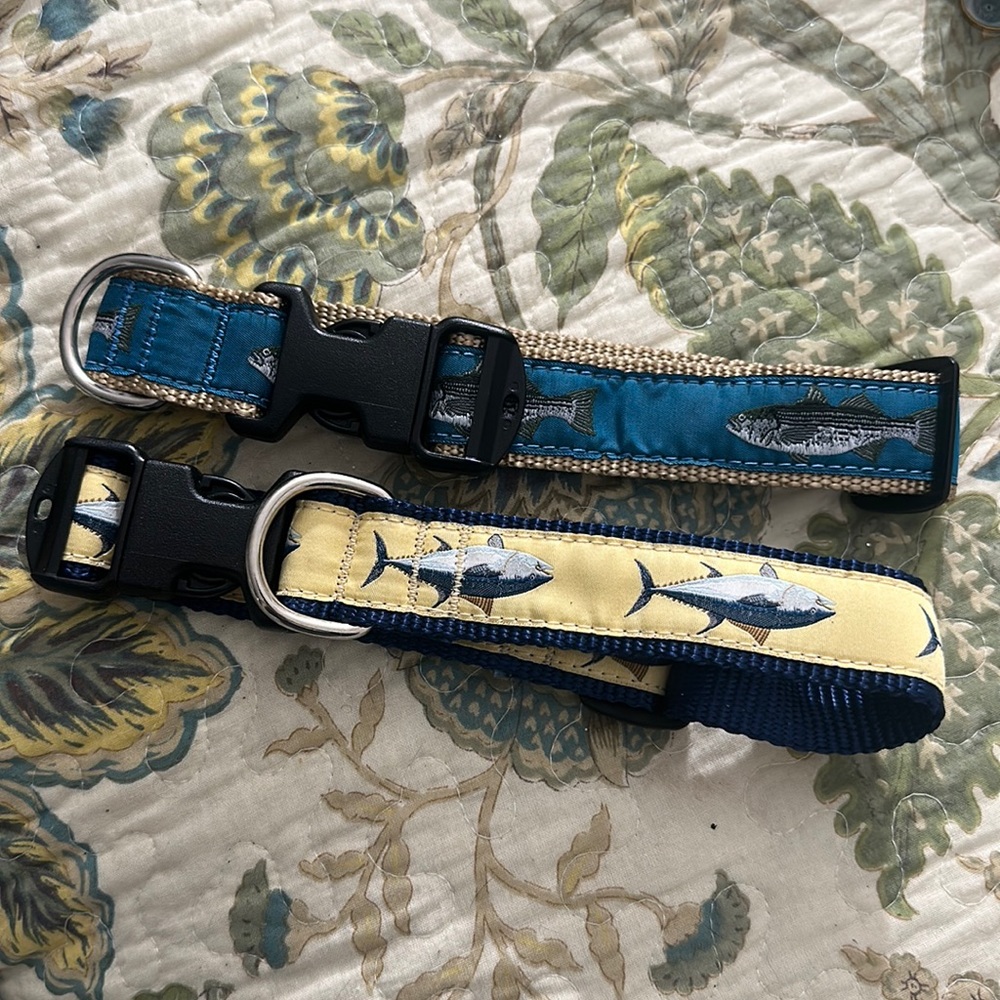 Dog Collars